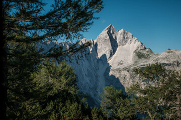 Mount Jalovec from Slemenova spica