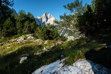 Mount Jalovec from Slemenova spica