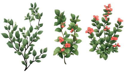 Obraz premium Floral Spring Branches: Set of four delicate illustrations featuring lush green leaves and coral blossoms, perfect for spring and summer designs. 