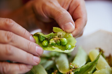 a man picks peas out of the pod and discovers pests