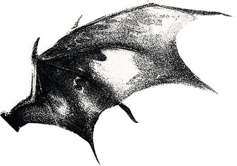 Сlipping from a black and white vintage magazine elements, halftone devil wings