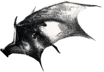 Сlipping from a black and white vintage magazine elements, halftone devil wings