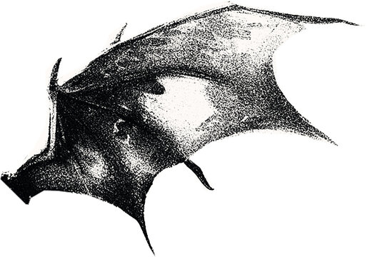 Сlipping from a black and white vintage magazine elements, halftone devil wings