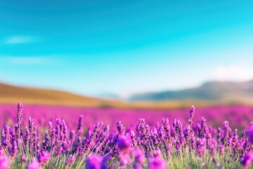 Fototapeta premium Wind brushing through a field of lavender, vibrant purple flowers in motion, clear blue sky overhead