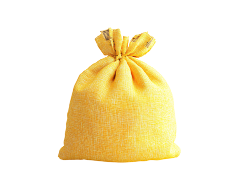 a yellow sack with money