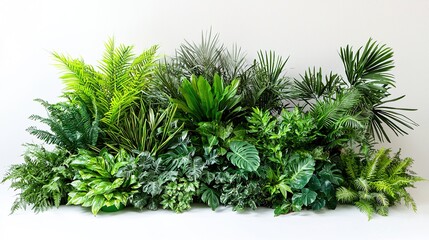 Lush Greenery of Tropical Plants for Decoration