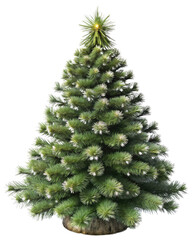 Fototapeta premium 3D Christmas Tree, Evergreen Plant Isolated on White or Transparent Background for Festive New Year Celebration