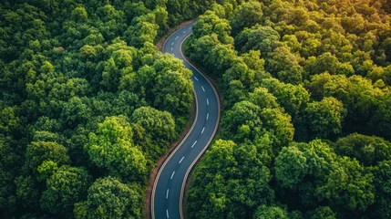 Foto op Plexiglas A winding road meanders through lush green forests, illuminated by soft sunlight, showcasing nature's beauty and tranquility from an aerial perspective. © Pisahouse