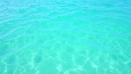 Obraz premium Clear Turquoise Ocean Water with Gentle Waves