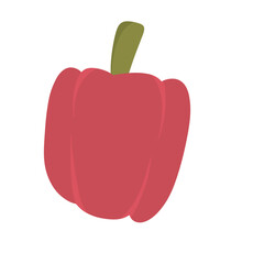 Red bell pepper illustration