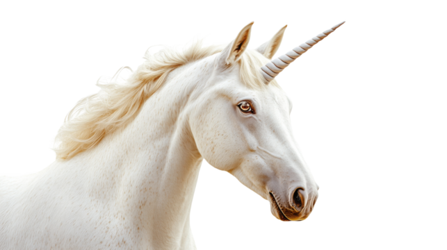 Majestic white unicorn