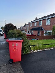 Trash Day in Ireland