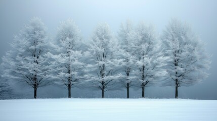 Fototapeta premium A serene winter landscape featuring snow-covered trees