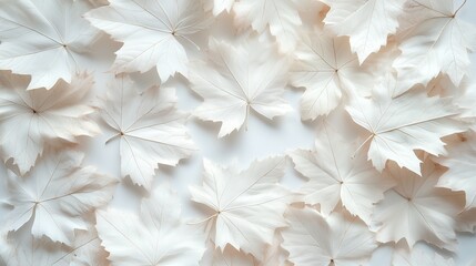 Flat lay autumn leaves painted white for Halloween spooky theme