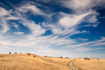 Obraz premium Scenic view of a hill in the desert, with a dramatic blue sky and soft cloudscape enhancing the natural beauty of the field
