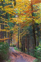 Fototapeta premium Colorful autumn Landscape in Bohemian Paradise, Czech Republic 
