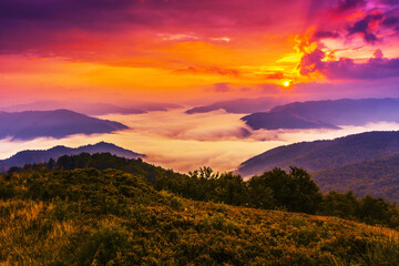 scenic summer scenery in mountains, incredible morning dawn, spectacular nature background
