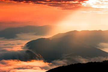 scenic summer scenery in mountains, incredible morning dawn, spectacular nature background
