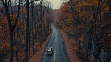 drive in the forest in autumn,