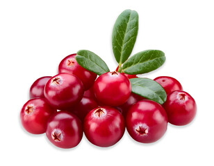 Obraz premium Cranberry with leaf isolated on white background