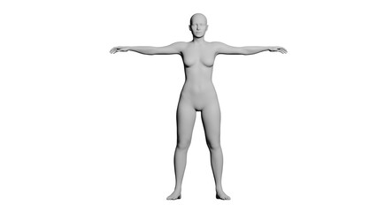 White Female Mannequin in T-Pose Isolated on Transparent Background. Front View.