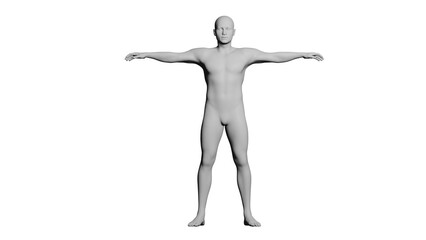 White Male Mannequin in T-Pose Isolated on Transparent Background. Front View.