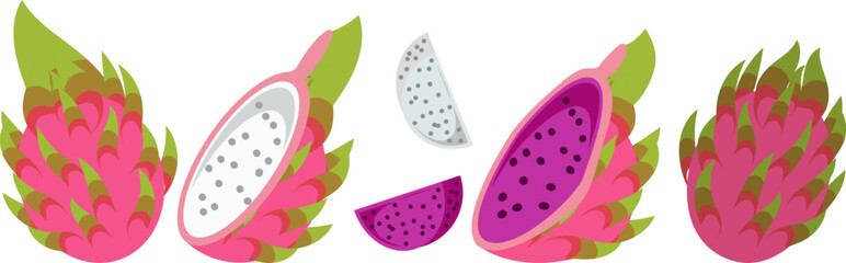 Tropical Dragon Fruit Illustration Whole and Sliced, White and Red Variants
