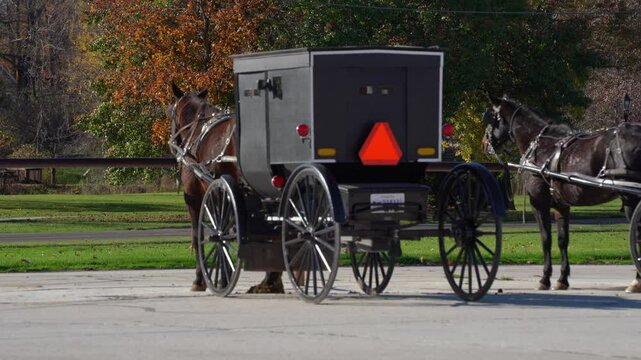 Amish horse and buggy parked in a small town