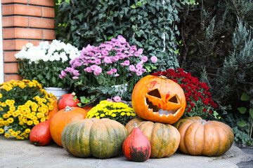 Bouquets of autumn flowers with Halloween pumpkins on ground outdoors