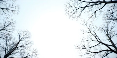 Fototapeta premium A snowy winter landscape with bare tree branches in the foreground against a blurred, overcast sky.