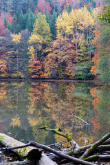 Colorful autumn Landscape in Bohemian Paradise, Czech Republic 