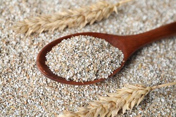 Spoon with fresh rye bran and spikelets, closeup