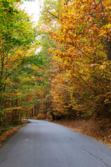 Colorful autumn Landscape in Bohemian Paradise, Czech Republic 