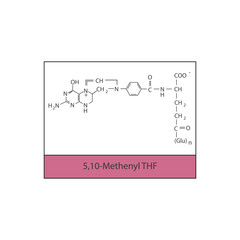 5,10-Methenyl THF skeletal structure diagram.Vitamin B9 compound molecule scientific illustration.