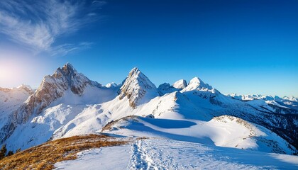Naklejka premium snow covered mountains in winter