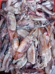 Fototapeta premium A large pile of fresh squid. The squid have a variety of colors, including shades of pink, purple, white, and brown. They appear to be piled together in a tray, possibly in a fish market or seafood ve