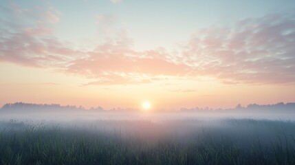 Obraz premium Calm Sunrise over Misty Grass Field with Soft Pink Clouds