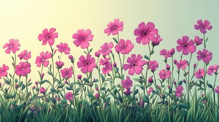 Obraz premium field of pink tulips