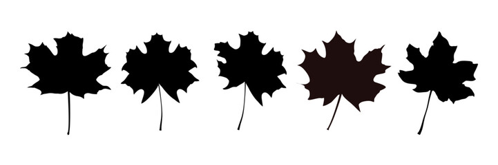 silhouettes of autumn maple leaves - vector illustration