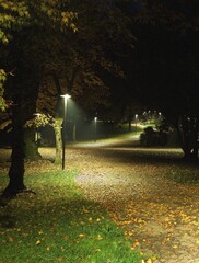 Obraz premium Illuminated Autumn Path