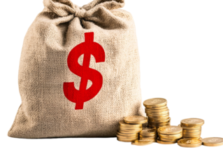 a bag of money with a dollar sign