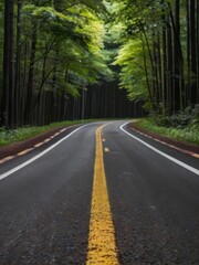 Obraz premium Beautiful shot of a empty road with trees
