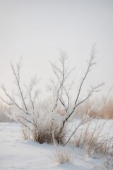 Frosty Branches Emerging From a Snowy Landscape.