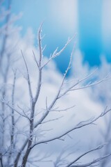Frosty Branches Frame a Wintery Blue Background.