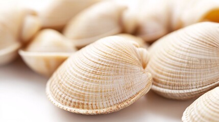50.A close-up of raw venus clams, with their delicate, smooth shells displayed on a white background. The clams vary in color from light beige to darker browns, and their slightly ridged shells catch