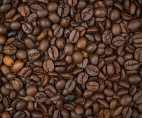 Coffee beans texture background