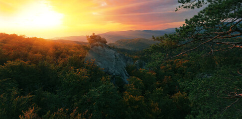 perfect autumn scene in forest, fantastic early morning	