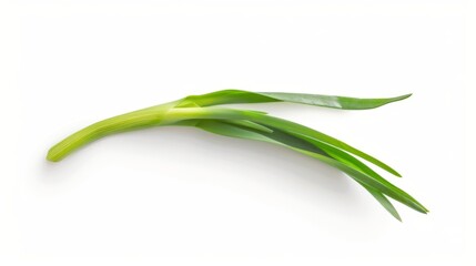 Fototapeta premium Fresh Green Onion on White Background