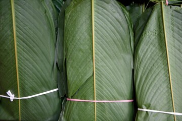 Rows of freshly harvested banana or bijao leaves, in a farmers market in Colombia, South america
