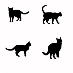 Cat silhouette isolated on white background with clipping path.